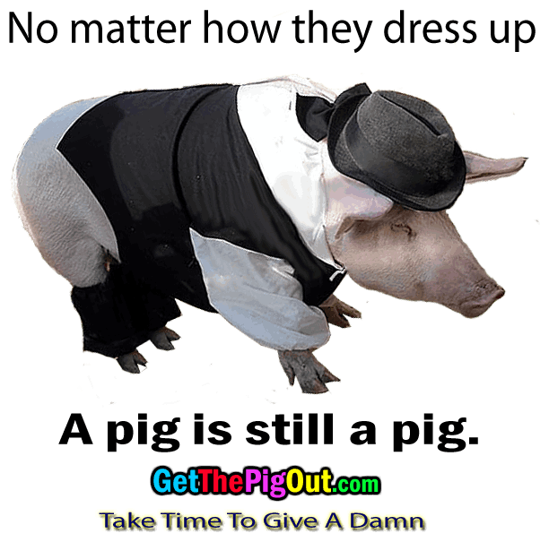 Hog heaven dysfunctional to the max